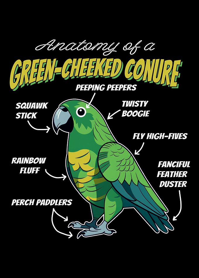 Green Cheeked Conure