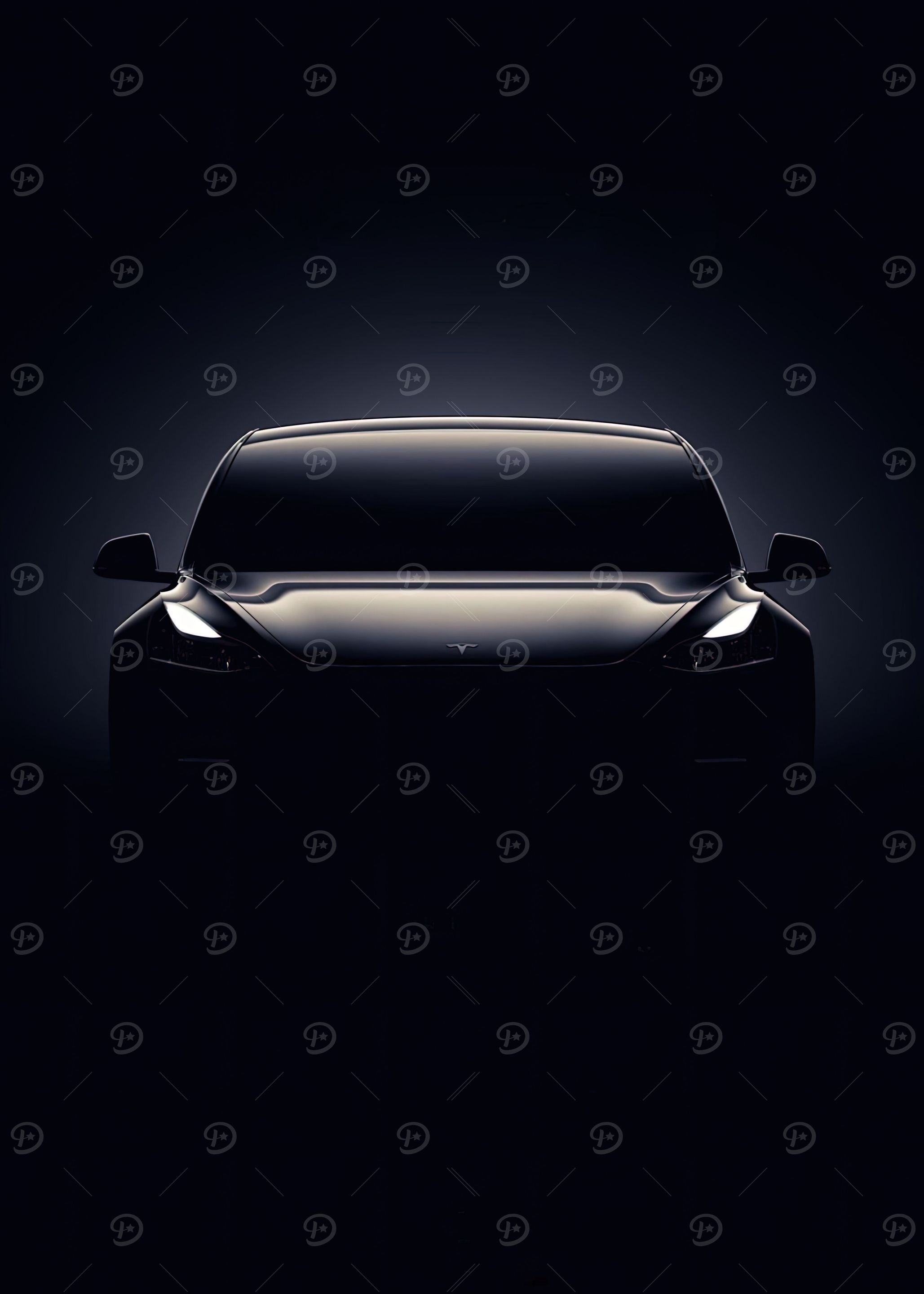 Tesla Black Cars