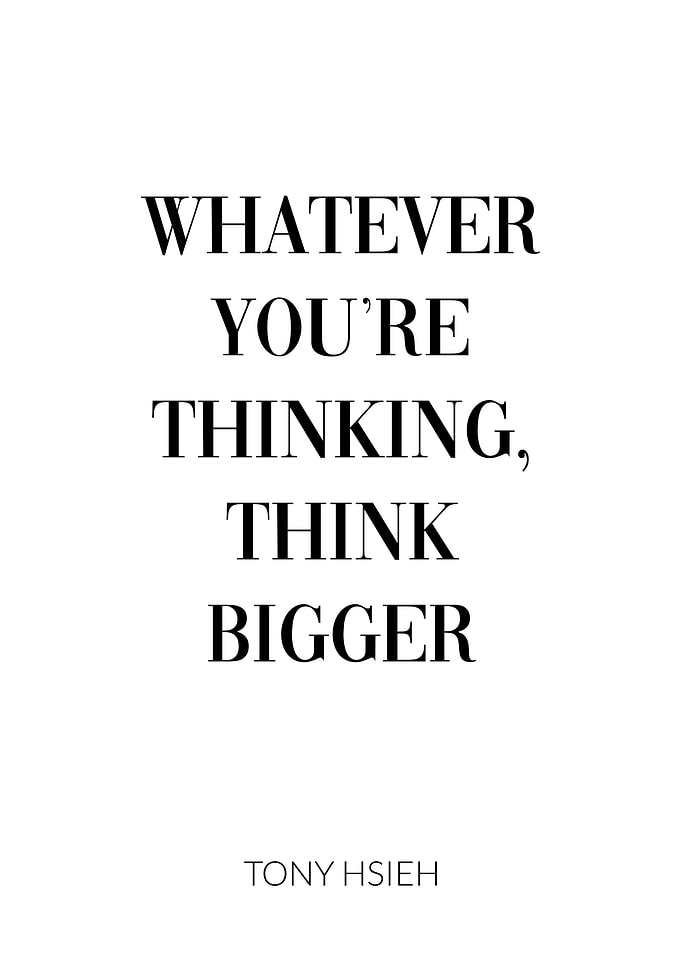 Tony Hsieh Think Bigger