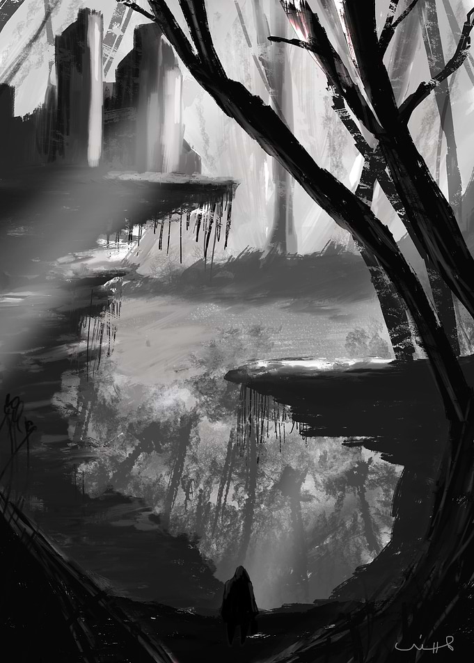 Back in the Woods