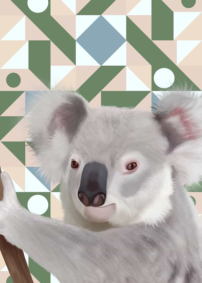 Fluffy Koala
