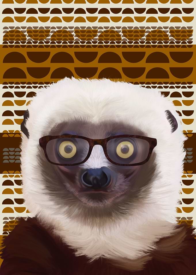 Sifaka Lemur With Glasses
