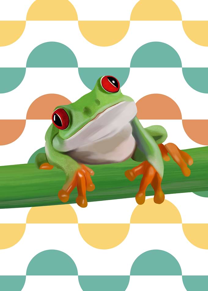 Cute Red Eyed Tree Frog