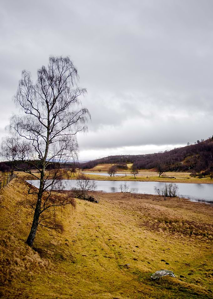 Scotland Landscape