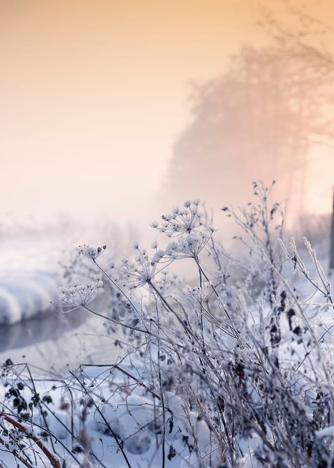 Sunny day winter sunrise
