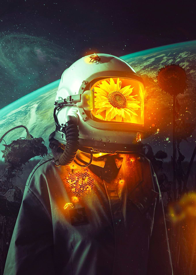 Bee Sun Space