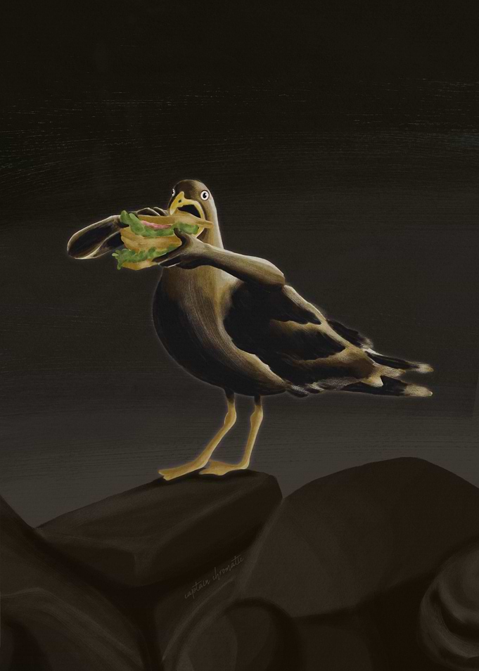 Seagull devouring sandwich