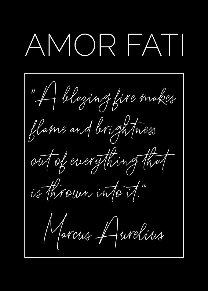 Stoic Amor Fati Aurelius