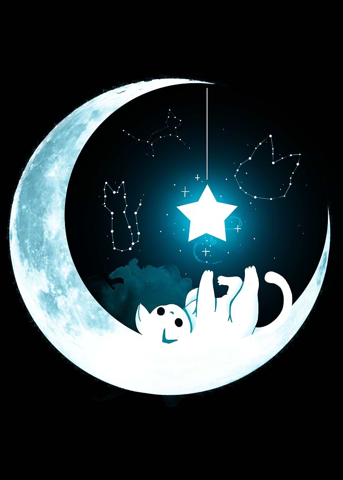 Kitten Stars Moon