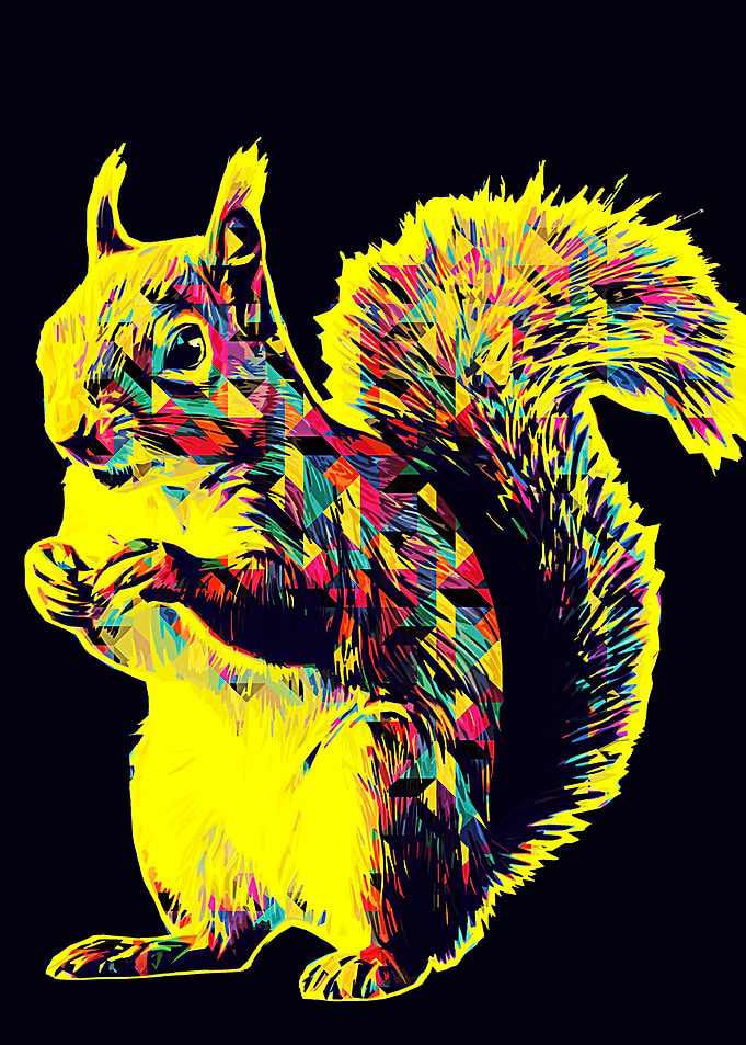 Squirrel pop art