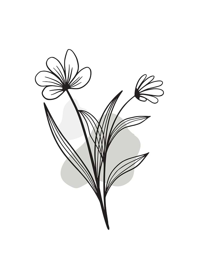 Flower Botanical Minimalis
