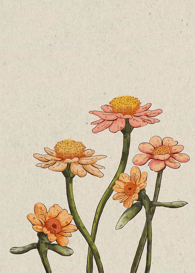 Zinnia Flower