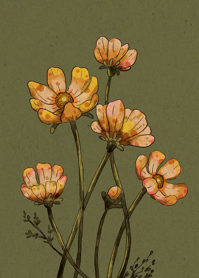 Cosmos