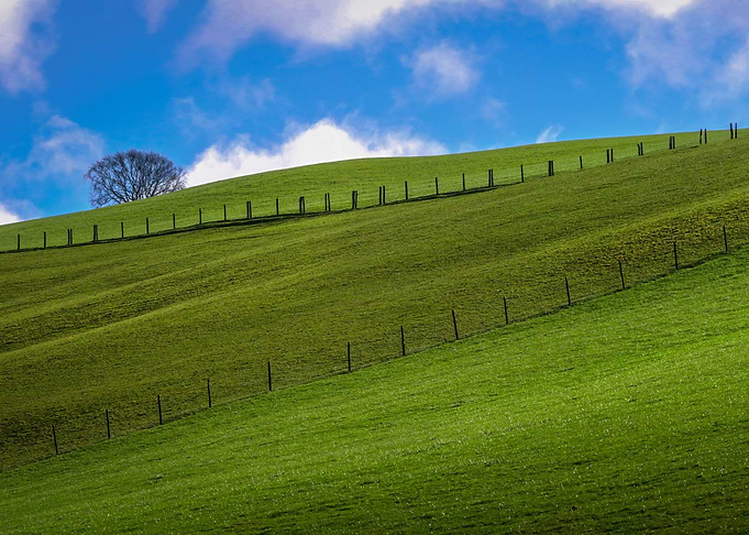 Green fields and blue sky