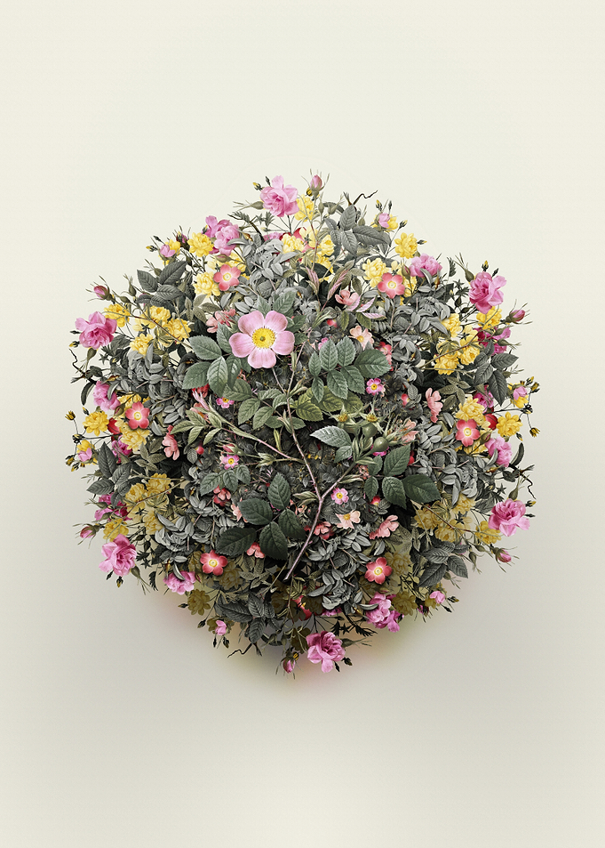 Malmedy Rose Flower Wreath