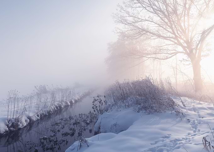 Sunny day winter sunrise
