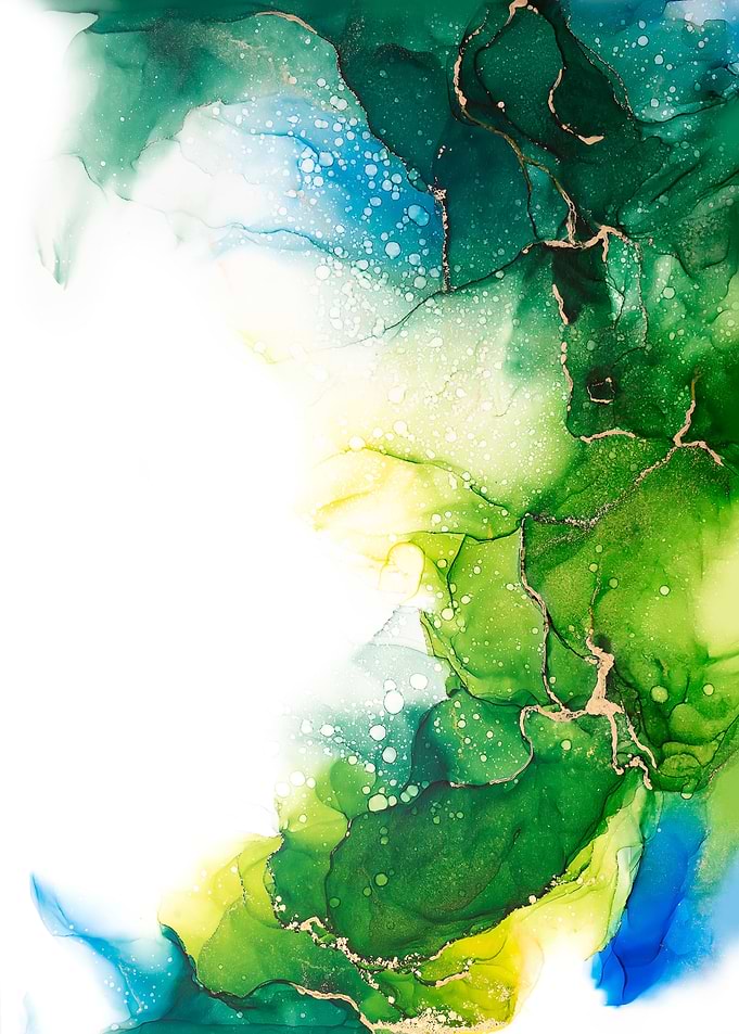 Illuminated Undergrowth