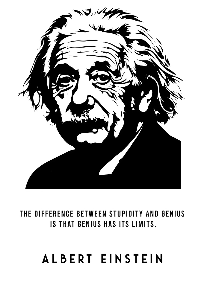 Albert Einstein Stupidity