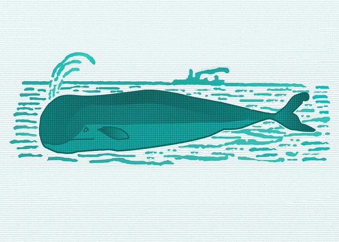 Whale Blows2