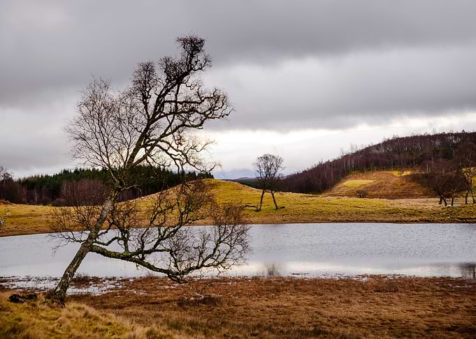 Near Lake