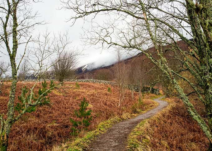 A Road to the Mountains