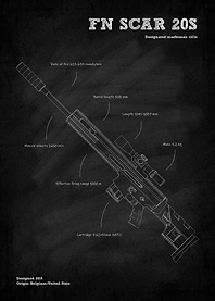 FN SCAR 20S Rifle Gun