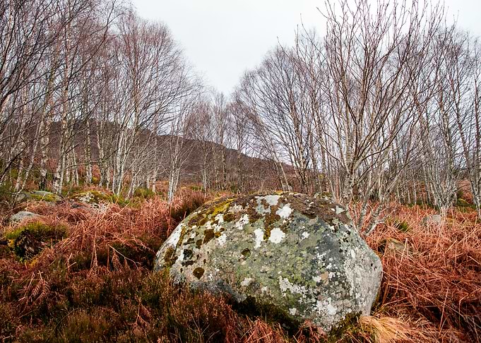 Huge Rock