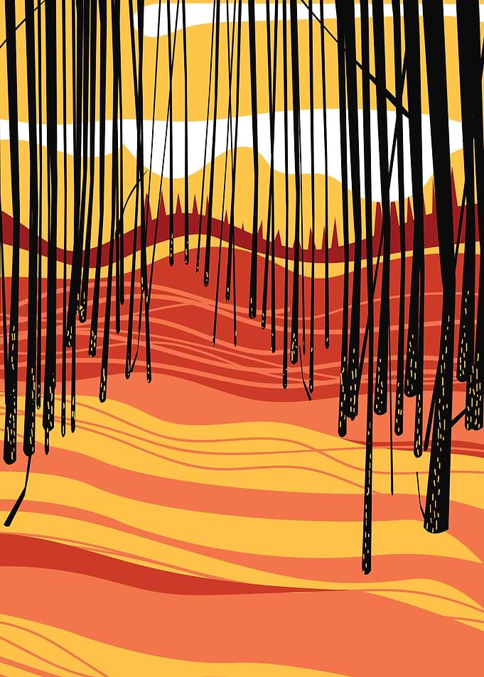 Japanese forest