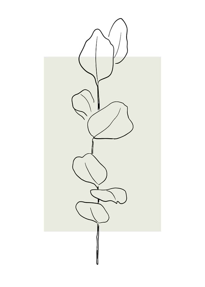 Floral one line art