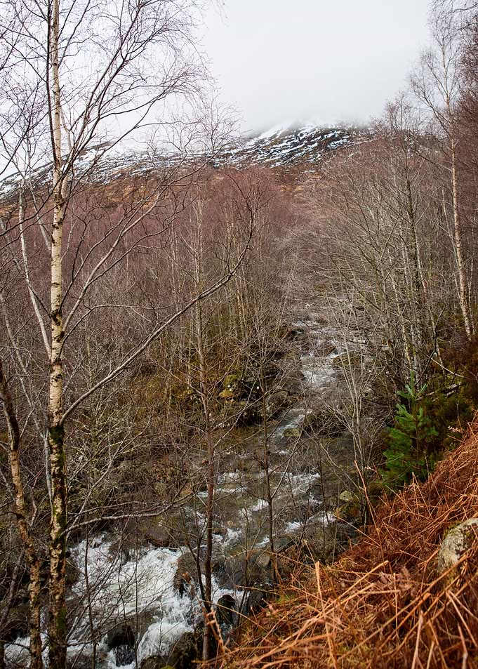 Mountain River