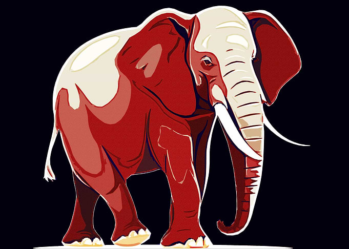 Elephant pop art