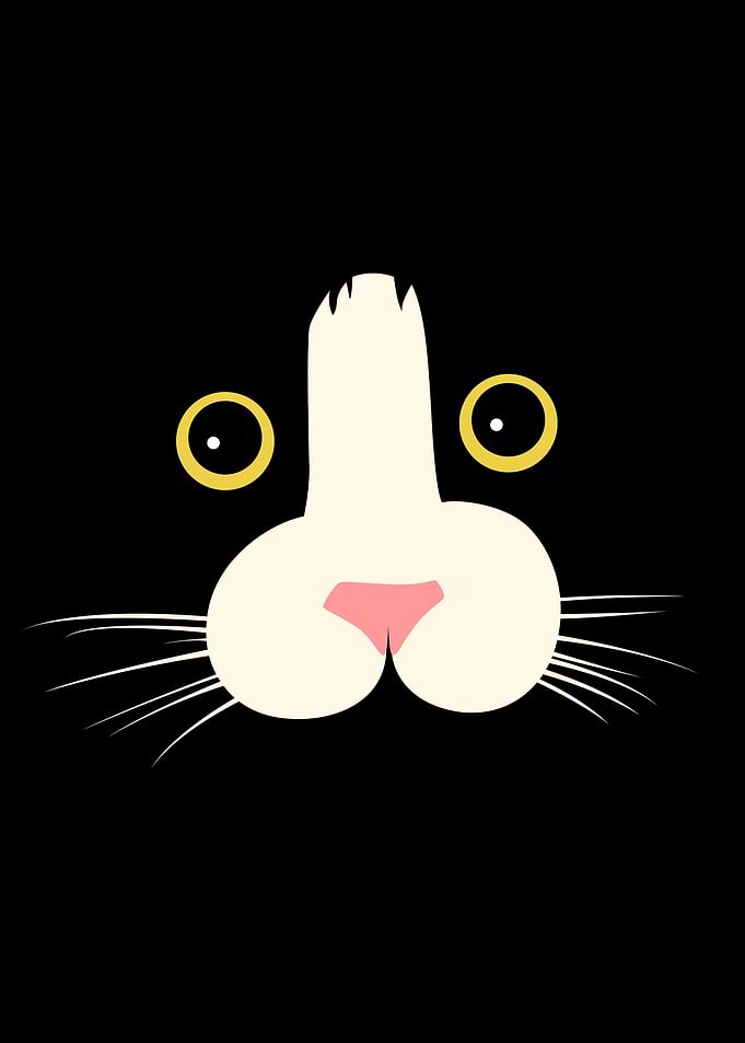 Cat Meme