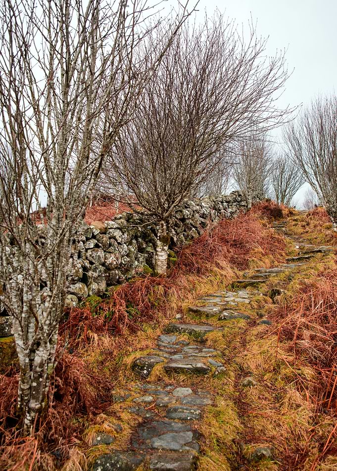 Hill Steps