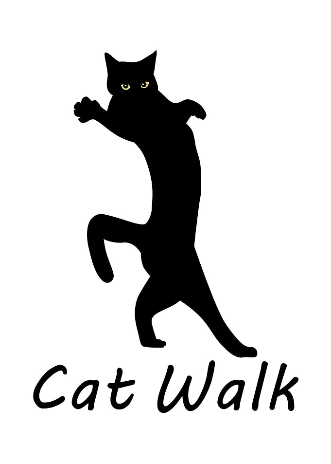Cat Meme