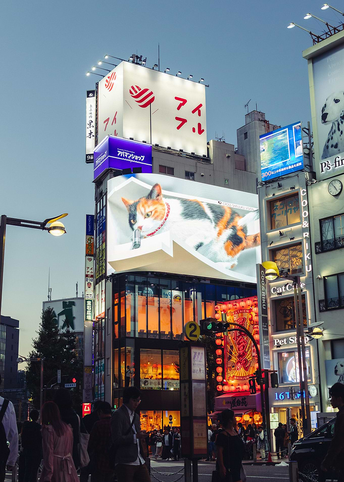 Neo Tokyo Shinjuku Neko