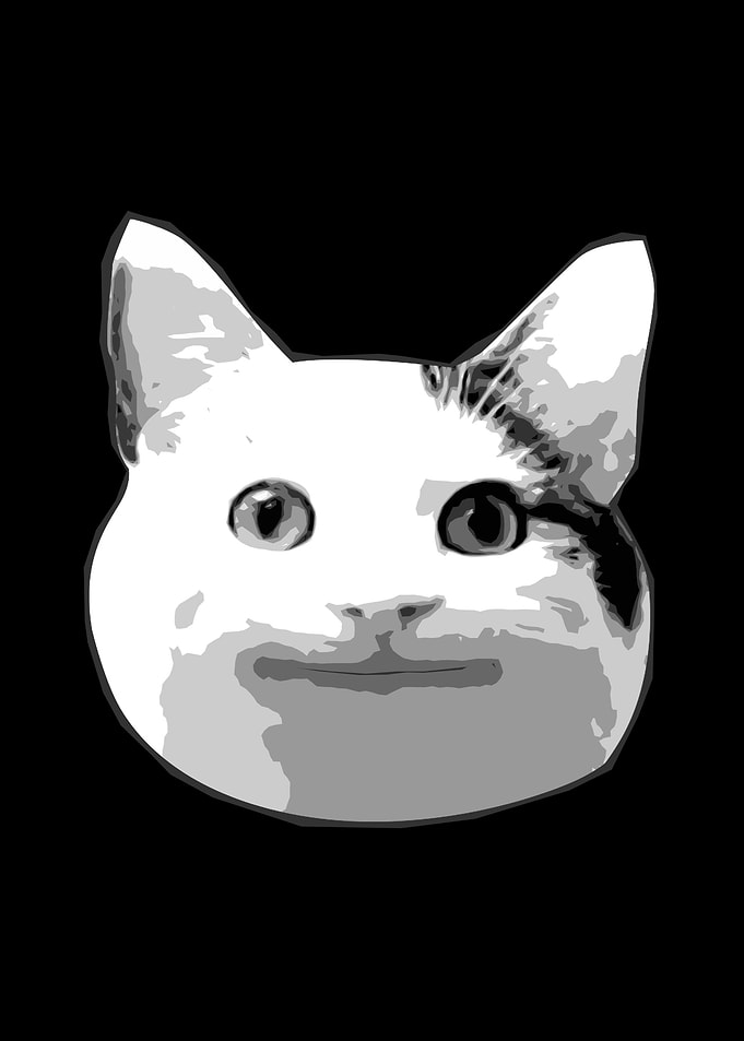 Cat Meme