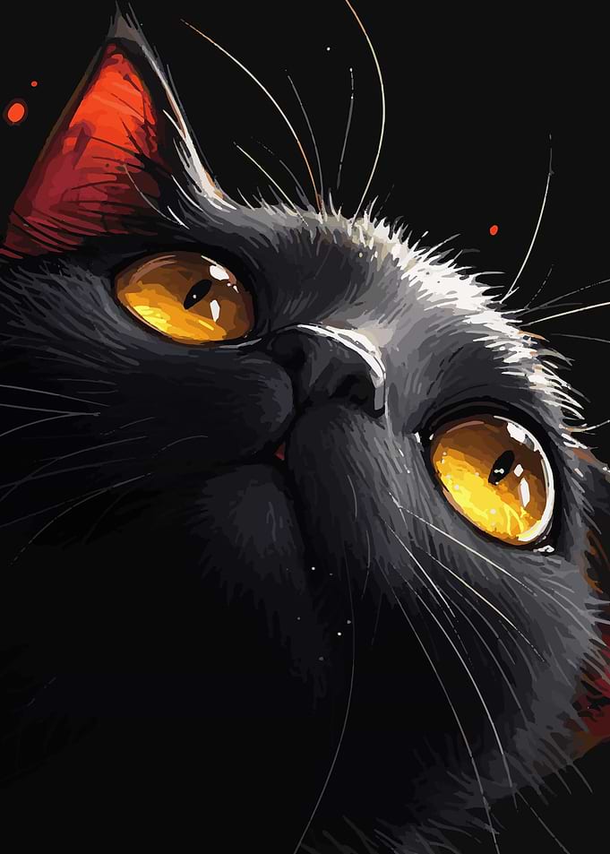 Cute cats closeup