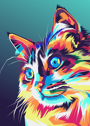 Cat Cute Colorful