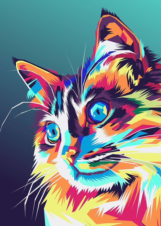 Cat Cute Colorful