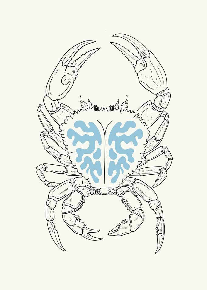 Minimalist Japan Sea Food