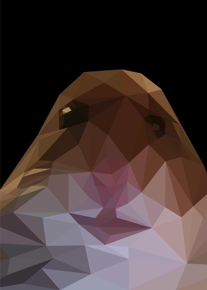 staring hamster meme
