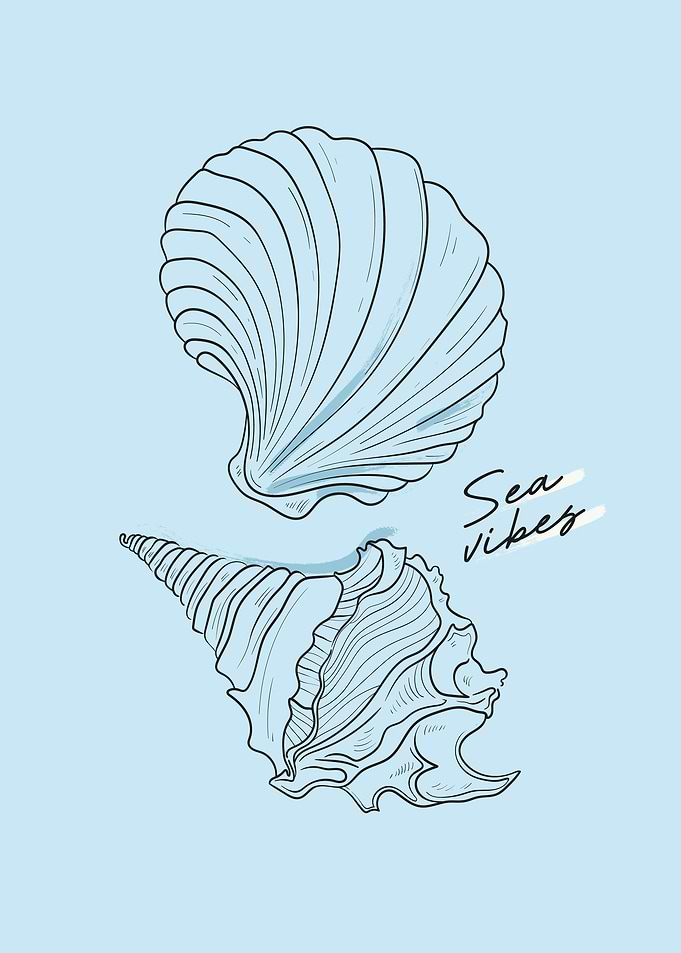 Minimalist Japan Sea Food