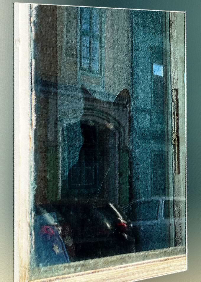 The cat in the window