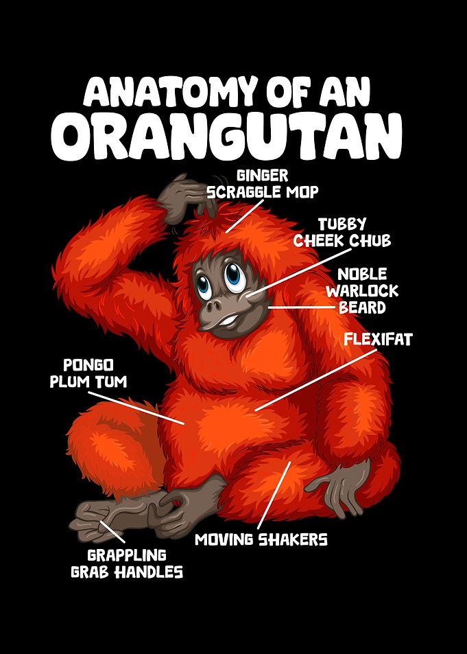 Anatomy Orangutan