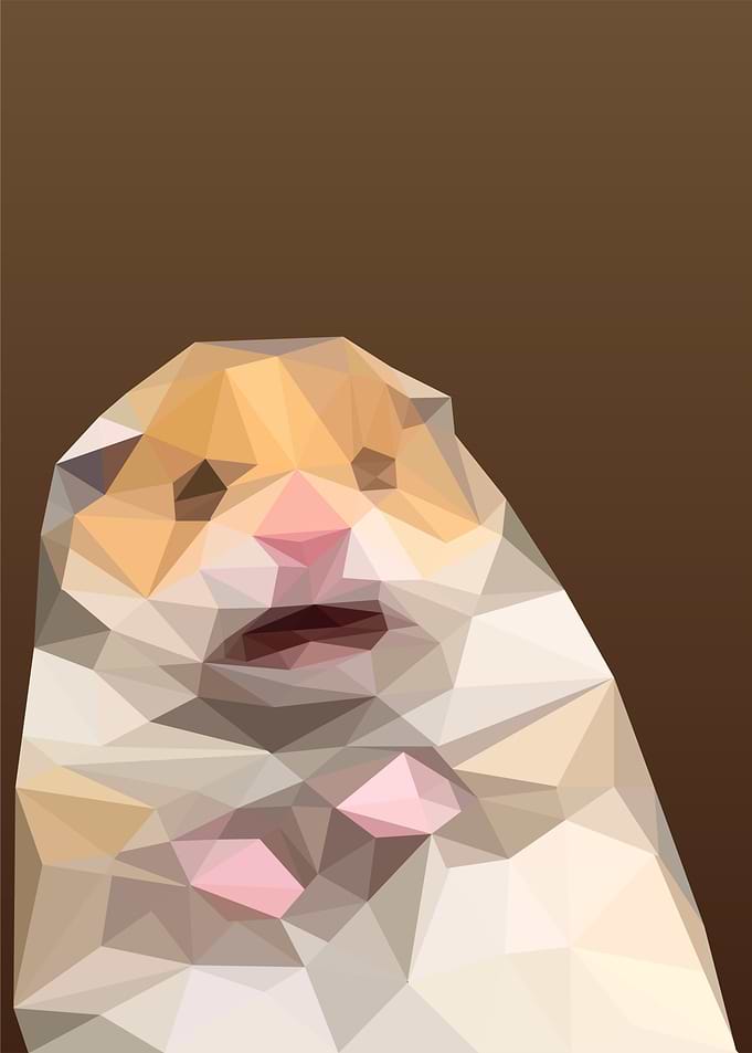 scared hamster meme