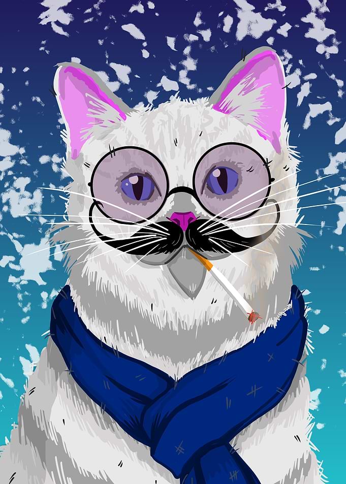 White Cool Cat