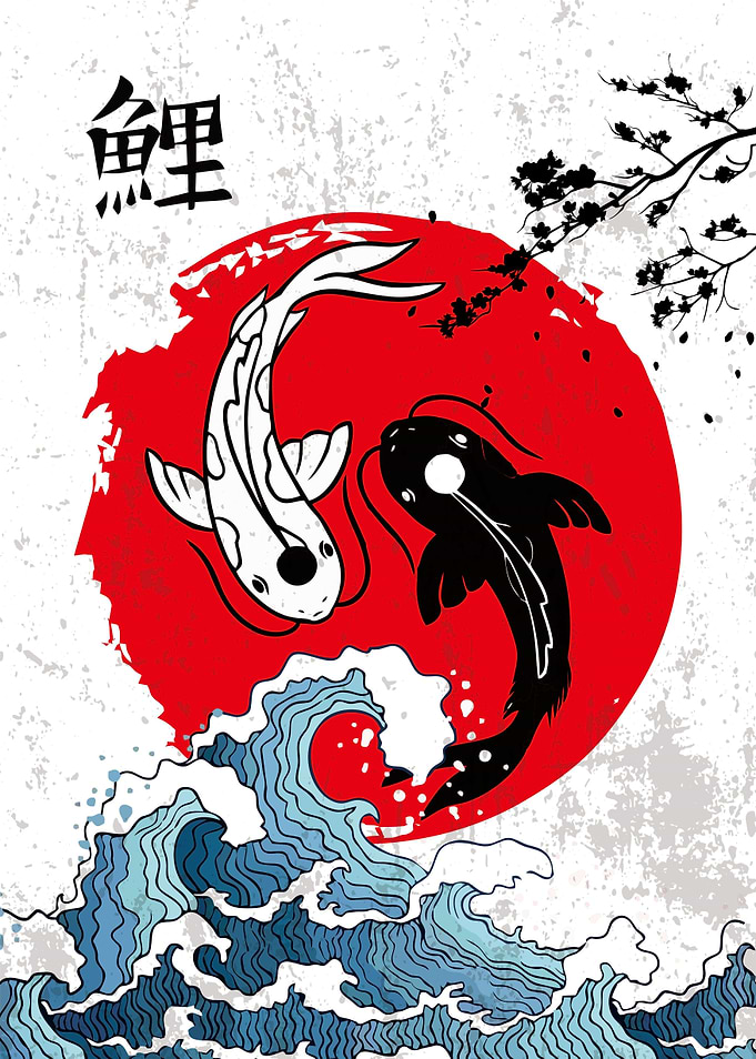 koi fish