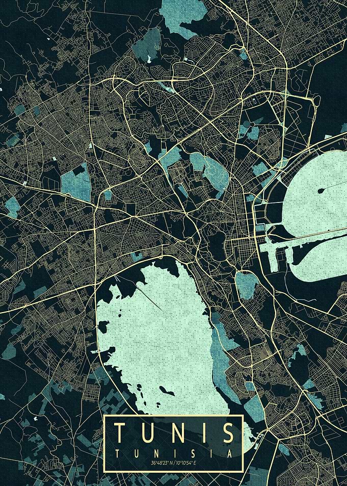 Tunis City Map Summer