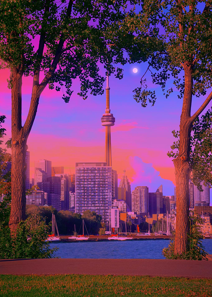 Toronto Delight