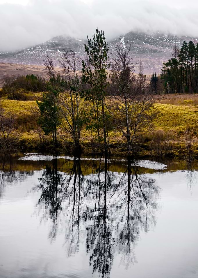 Reflections